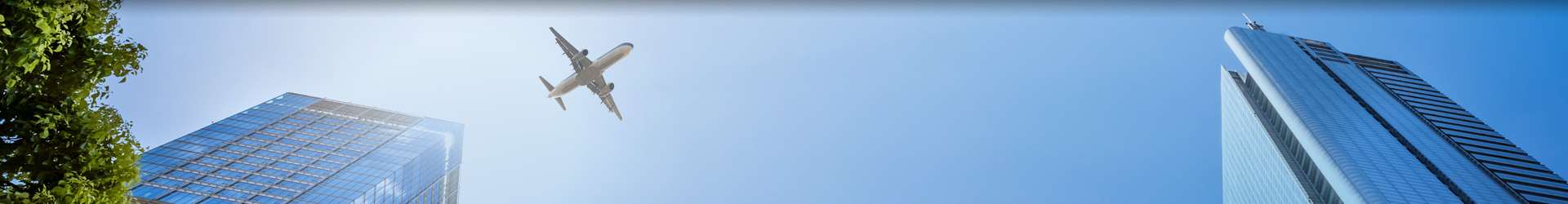 International Collaboration